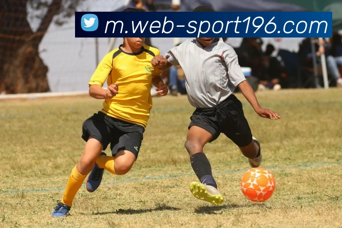 196体育平台生态图